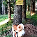 Vacation Near Gretschitz With Beautiful Panorama Holiday home *