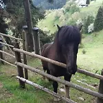 Vacation Near Gretschitz With Beautiful Panorama * Sankt Ulrich am Johannserberg
