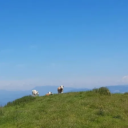 Vacation Near Gretschitz With Beautiful Panorama